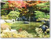 京都便り・境内の池