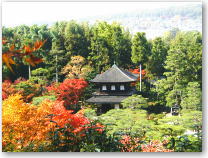 京都便り・境内の山の斜面からの銀閣