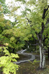 観修寺2